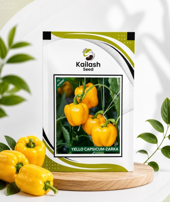 Yellow Capsicum